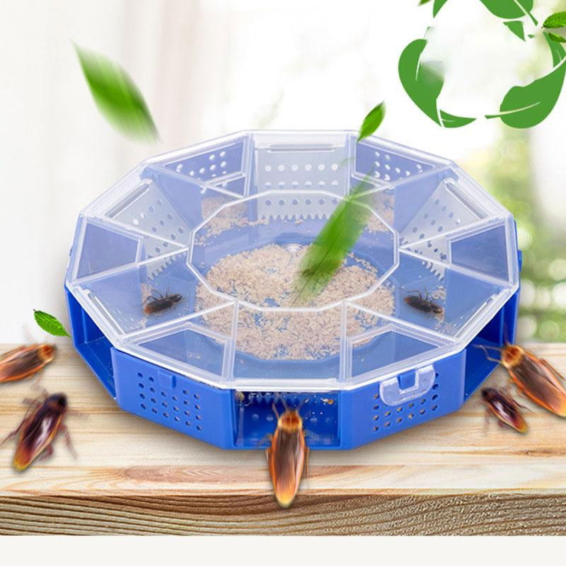 Cockroach Trap | Netsilla