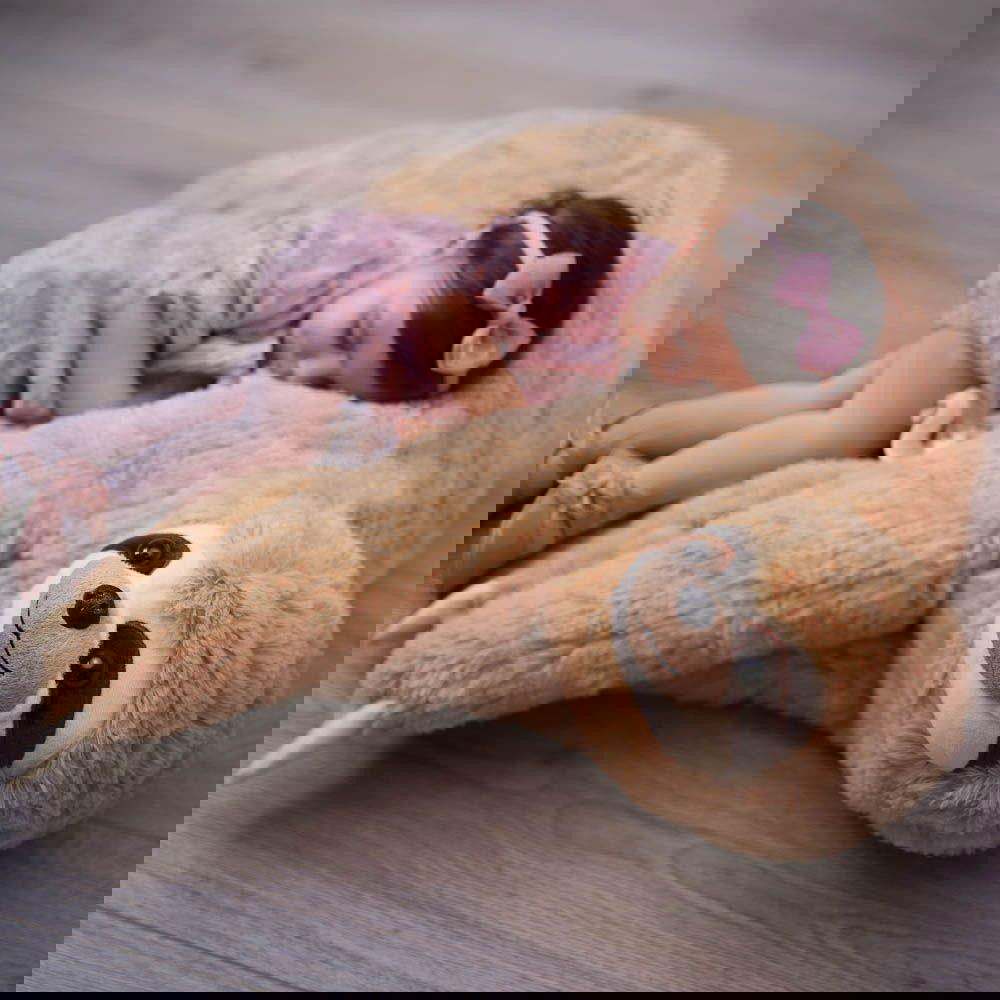 Large Pillow Stuffed Animal Sloth